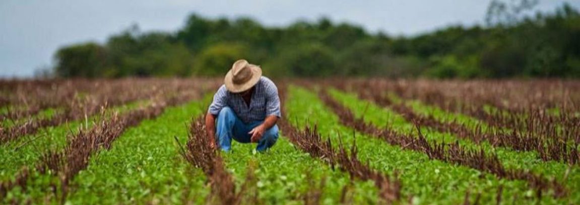 mai-putina-birocratie-pentru-agricultori-principalele-facilitati-de-care-vor-beneficia-fermierii-in-2018-43947-1151x408.jpg