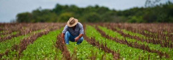 mai-putina-birocratie-pentru-agricultori-principalele-facilitati-de-care-vor-beneficia-fermierii-in-2018-43947-571x200.jpg
