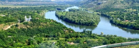 petitie-Nistru-571x200.jpeg