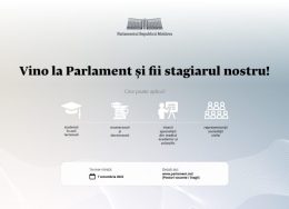 stagii-la-parlament_2022-750x430-1-260x188.jpg