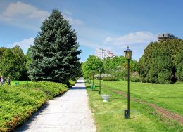 parc-260x188.jpg