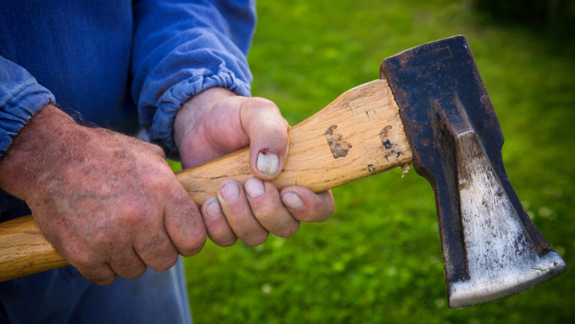 Violență în Călărași: Și-a lovit sora cu toporul și a încercat să-i omoare partenerul