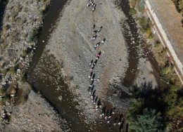 chile-cutremur-tw1-260x188.jpg