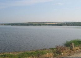 5345ec1ab0dac08b7921455b1a54cf73-260x188.jpg