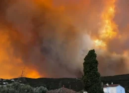 incendiu-2-900x505.jpg-2-260x188.webp