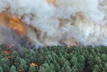 incendiu-padure-fontainebleau-franta-profimedia-4Ttl0W-370x251.webp