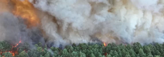 incendiu-padure-fontainebleau-franta-profimedia-4Ttl0W-571x200.webp