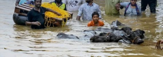 india-inundatii-assam-tw-571x200.jpg