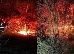 incendiu-ocnita-900x505-1-260x188.jpg